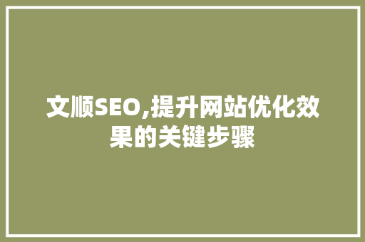 文顺SEO,提升网站优化效果的关键步骤 Web前端