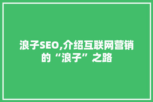浪子SEO,介绍互联网营销的“浪子”之路 Web前端