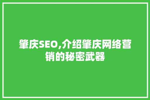 肇庆SEO,介绍肇庆网络营销的秘密武器 Web前端