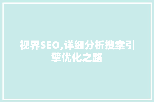 视界SEO,详细分析搜索引擎优化之路