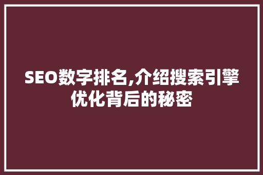 SEO数字排名,介绍搜索引擎优化背后的秘密