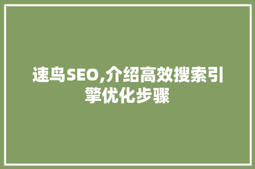 速鸟SEO,介绍高效搜索引擎优化步骤
