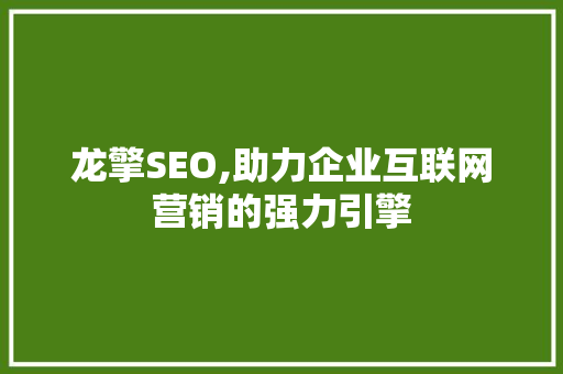 龙擎SEO,助力企业互联网营销的强力引擎 SEO教程