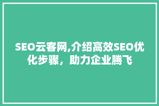 SEO云客网,介绍高效SEO优化步骤，助力企业腾飞