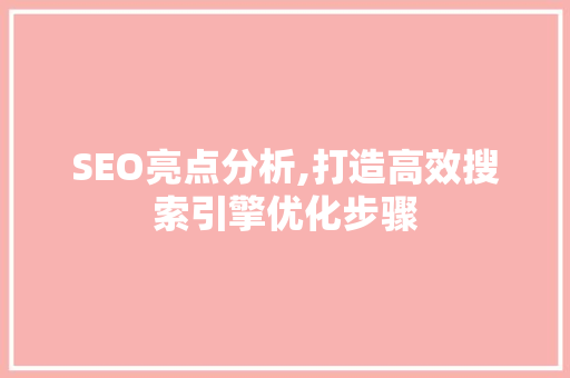 SEO亮点分析,打造高效搜索引擎优化步骤