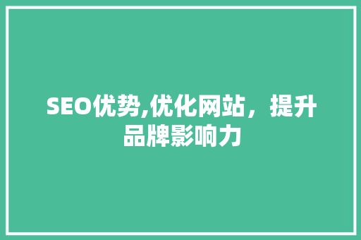 SEO优势,优化网站，提升品牌影响力