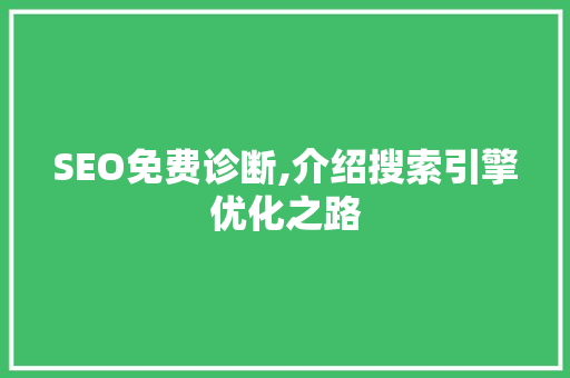 SEO免费诊断,介绍搜索引擎优化之路 建站教程
