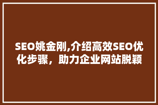 SEO姚金刚,介绍高效SEO优化步骤，助力企业网站脱颖而出