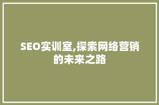 SEO实训室,探索网络营销的未来之路