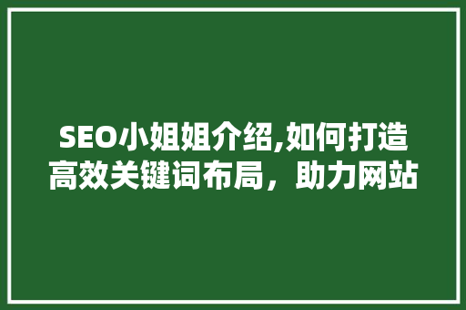SEO小姐姐介绍,如何打造高效关键词布局，助力网站优化