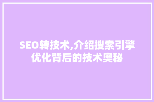 SEO转技术,介绍搜索引擎优化背后的技术奥秘 建站教程