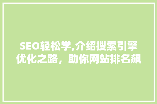 SEO轻松学,介绍搜索引擎优化之路，助你网站排名飙升！ 建站教程