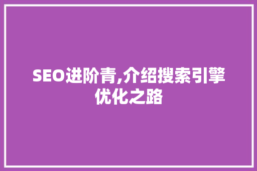 SEO进阶青,介绍搜索引擎优化之路