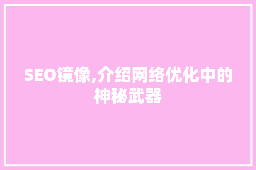 SEO镜像,介绍网络优化中的神秘武器