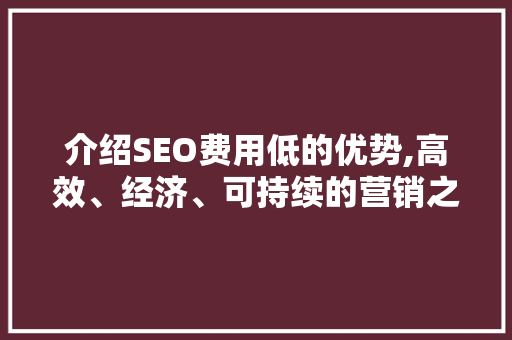 介绍SEO费用低的优势,高效、经济、可持续的营销之路 Web前端