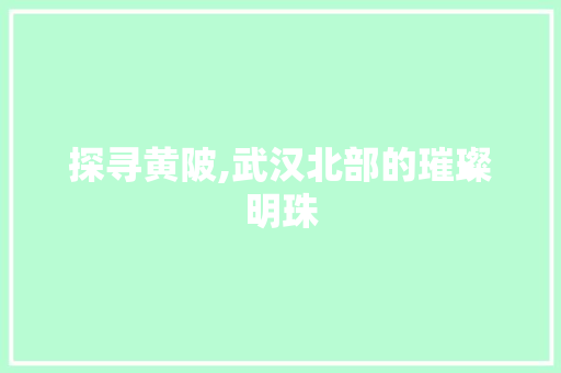 探寻黄陂,武汉北部的璀璨明珠