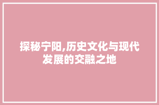 探秘宁阳,历史文化与现代发展的交融之地
