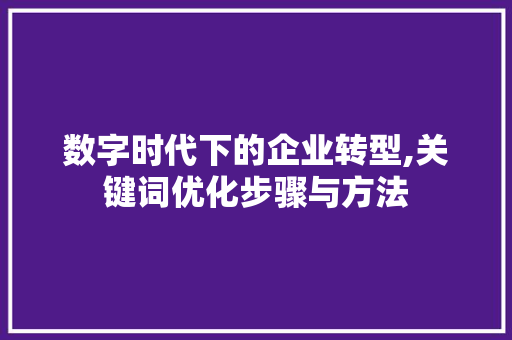 数字时代下的企业转型,关键词优化步骤与方法