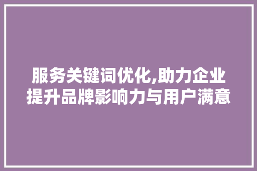 服务关键词优化,助力企业提升品牌影响力与用户满意度 服务器/数据库