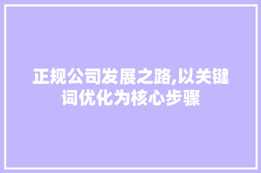正规公司发展之路,以关键词优化为核心步骤