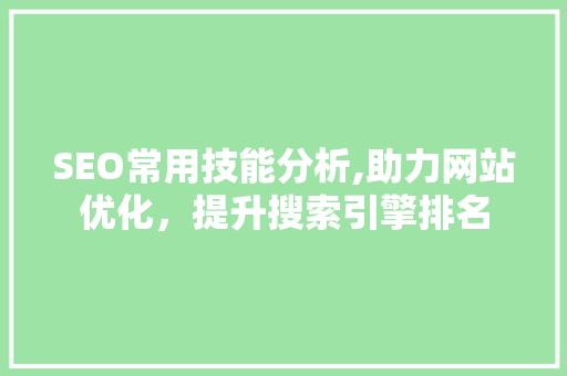 SEO常用技能分析,助力网站优化，提升搜索引擎排名