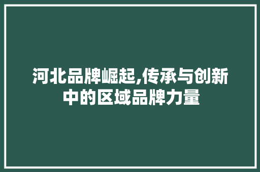 河北品牌崛起,传承与创新中的区域品牌力量