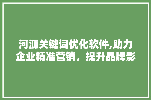 河源关键词优化软件,助力企业精准营销，提升品牌影响力 SEO教程
