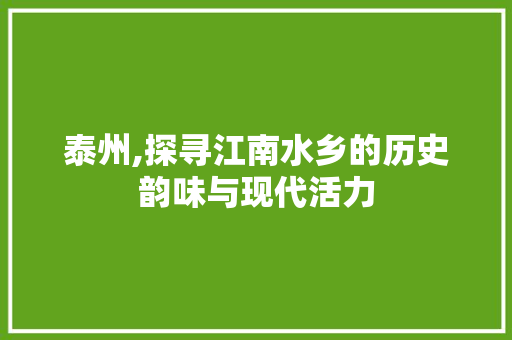 泰州,探寻江南水乡的历史韵味与现代活力 服务器/数据库