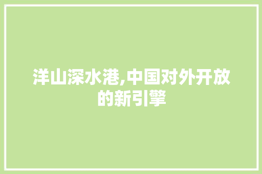 洋山深水港,中国对外开放的新引擎 建站教程