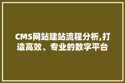 CMS网站建站流程分析,打造高效、专业的数字平台