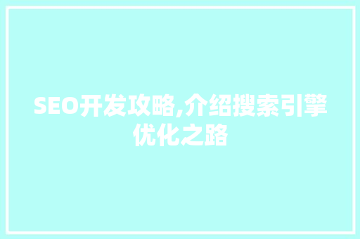 SEO开发攻略,介绍搜索引擎优化之路