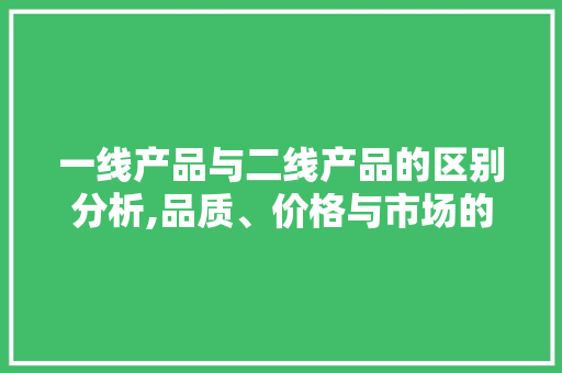 一线产品与二线产品的区别分析,品质、价格与市场的双重考量 建站教程