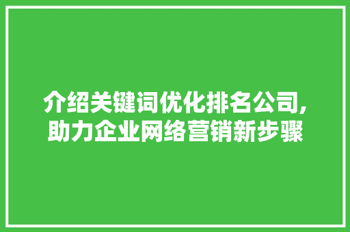 介绍关键词优化排名公司,助力企业网络营销新步骤 WordPress教程