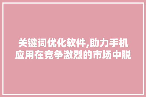 关键词优化软件,助力手机应用在竞争激烈的市场中脱颖而出