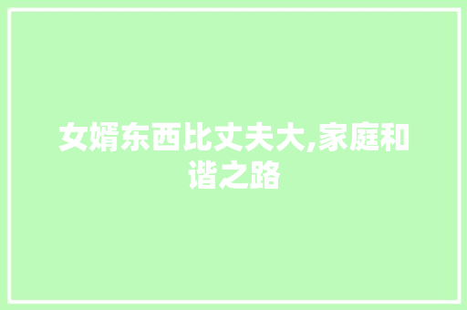 女婿东西比丈夫大,家庭和谐之路 服务器/数据库
