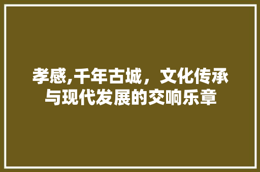 孝感,千年古城，文化传承与现代发展的交响乐章