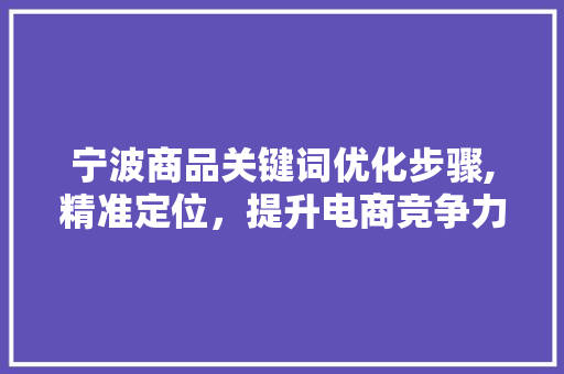 宁波商品关键词优化步骤,精准定位，提升电商竞争力 WordPress教程
