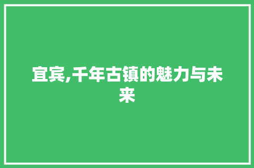 宜宾,千年古镇的魅力与未来