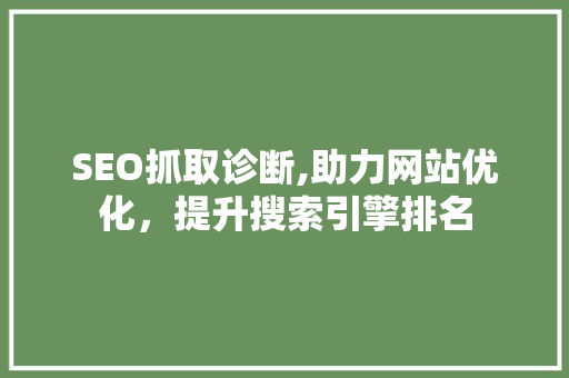 SEO抓取诊断,助力网站优化，提升搜索引擎排名