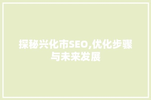 探秘兴化市SEO,优化步骤与未来发展 建站教程