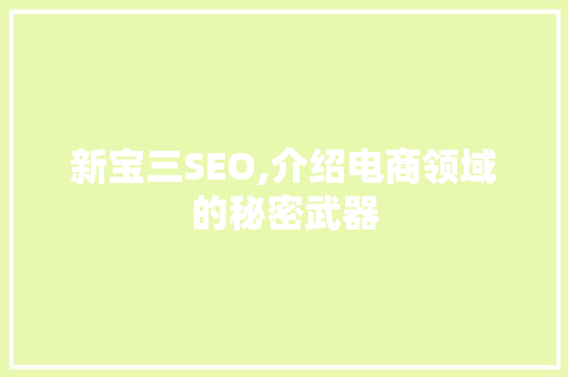 新宝三SEO,介绍电商领域的秘密武器 Web前端