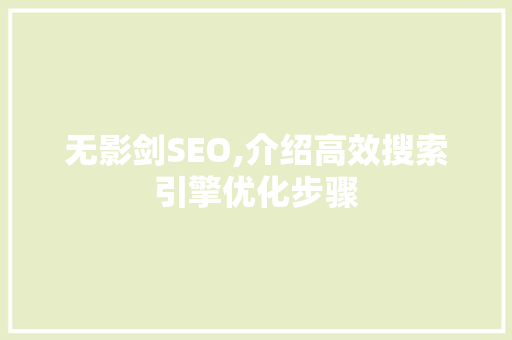 无影剑SEO,介绍高效搜索引擎优化步骤
