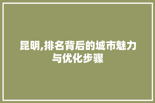 昆明,排名背后的城市魅力与优化步骤
