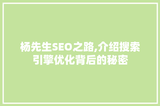 杨先生SEO之路,介绍搜索引擎优化背后的秘密 建站教程