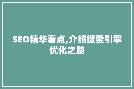 SEO精华看点,介绍搜索引擎优化之路
