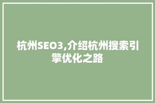 杭州SEO3,介绍杭州搜索引擎优化之路