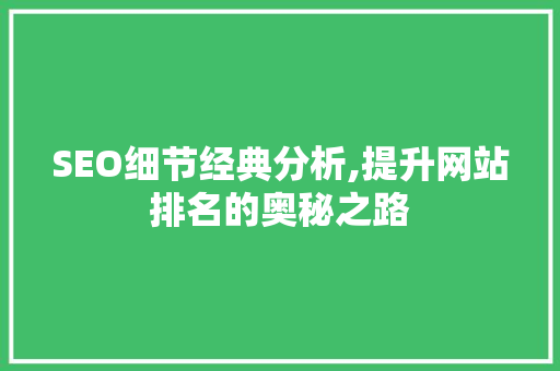SEO细节经典分析,提升网站排名的奥秘之路