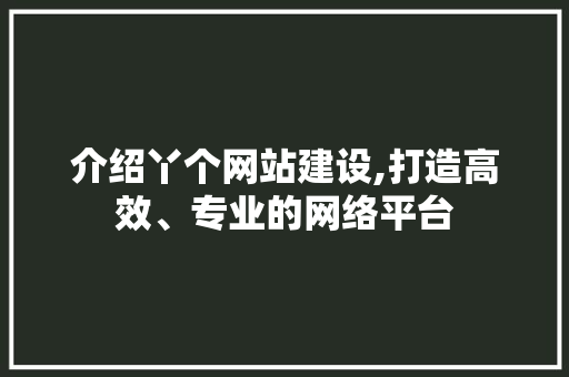 介绍丫个网站建设,打造高效、专业的网络平台