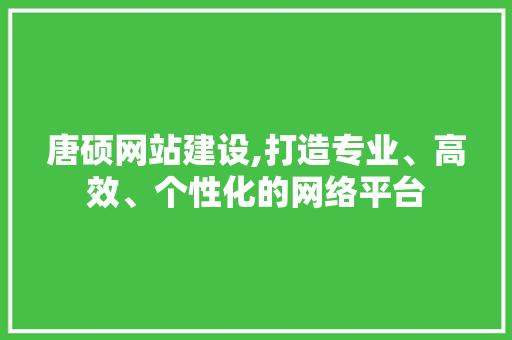 唐硕网站建设,打造专业、高效、个性化的网络平台