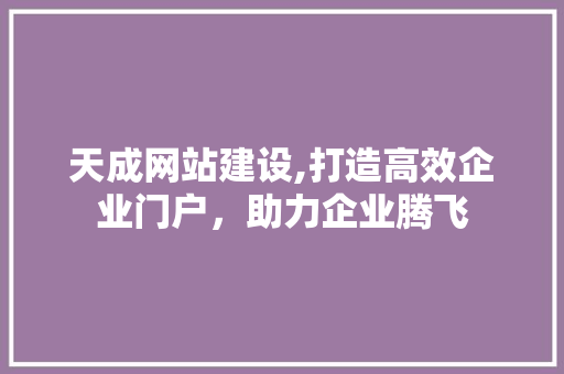 天成网站建设,打造高效企业门户，助力企业腾飞